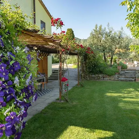 Buca Delle Fate 8, Emma Villa